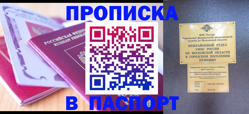 прописка законно в Мытищах